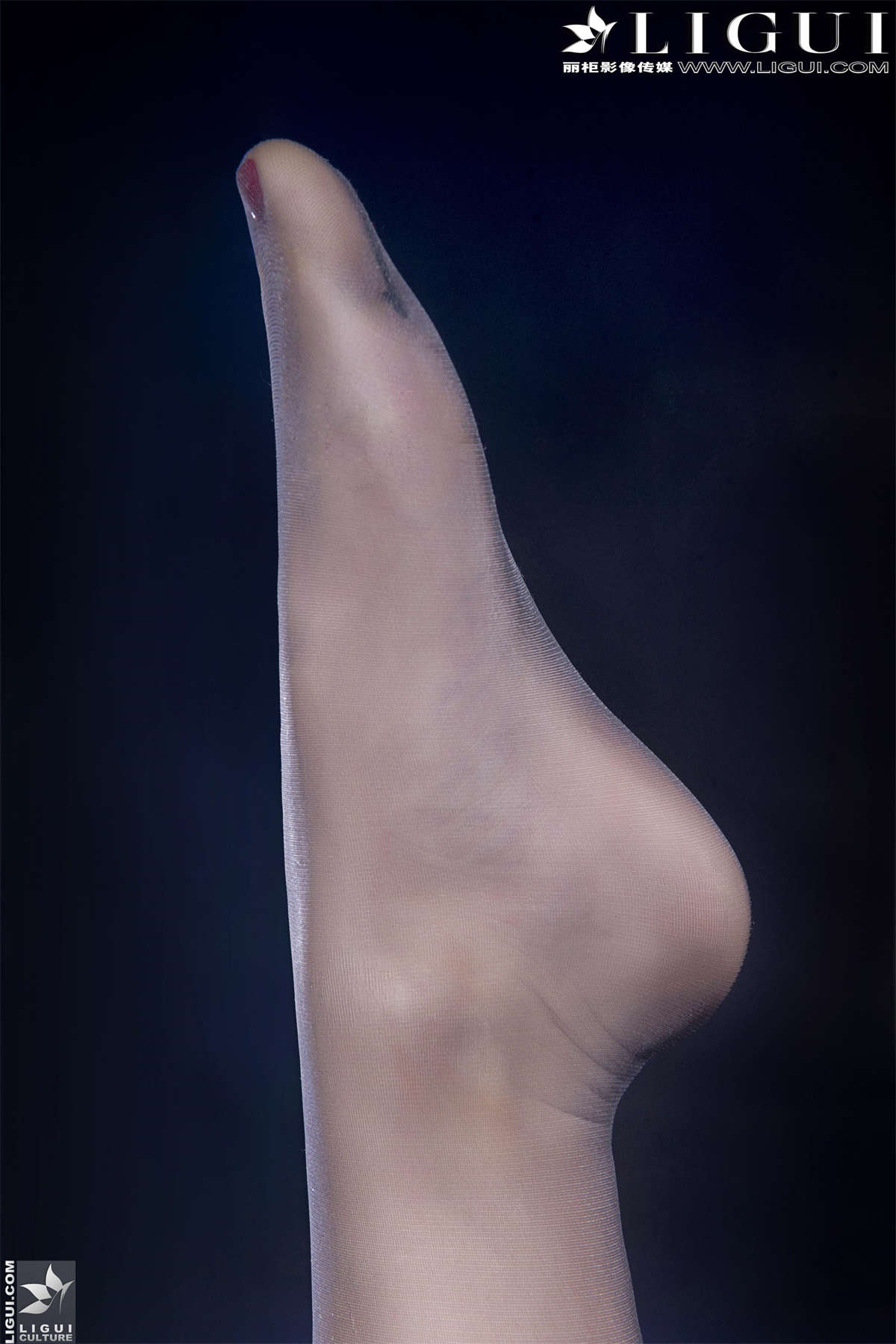 1333 (1).jpg